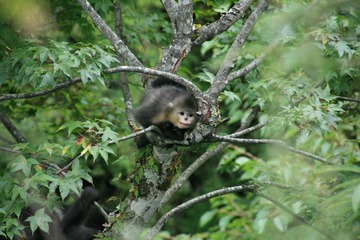 IMG_0530.JPG