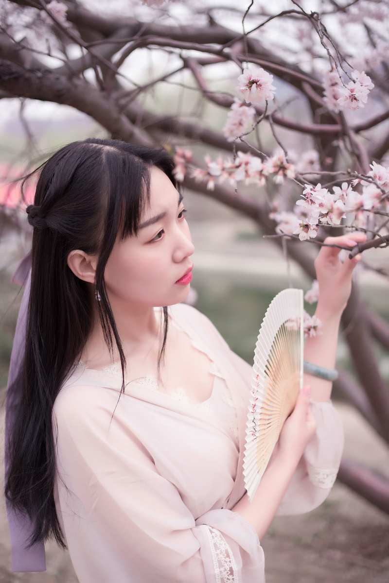 南国有佳人容华若桃李