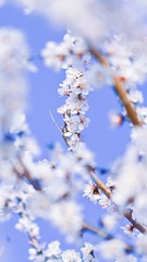 A89A8CA9-D1E0-4194-B052-072728D1C9E9/L0/001