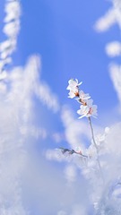 72F01FDD-2FAC-415E-9219-65109FBC1664/L0/001