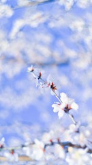 0EB49DBE-F87C-41A8-BCC9-38E1BCD03A7C/L0/001