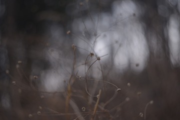 B92A681C-9847-485D-B1D5-44AE3A72B6EF/L0/001