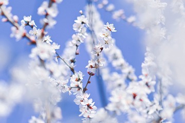 173468BE-5D62-40FA-9498-A376626892FB/L0/001