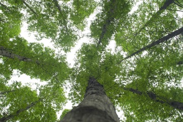 20140420-DSCF2538-2