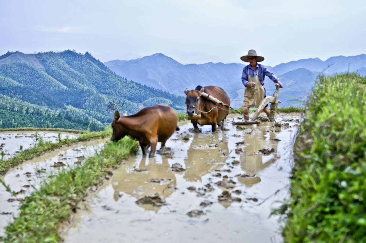 白云深处好耕田