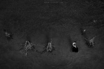 Silent21