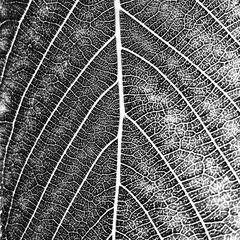 20140518_115735_1