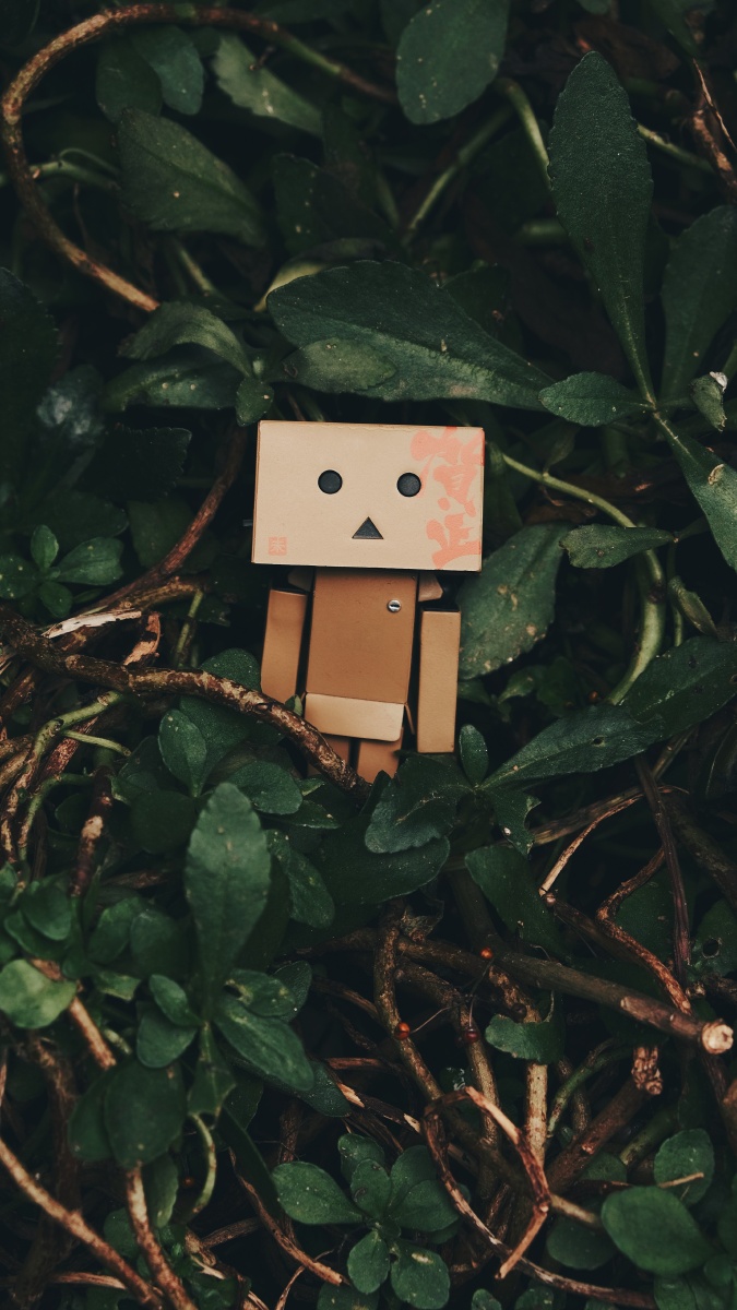 酷酷兔先生 - 图虫