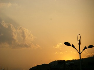 照片 010.jpg