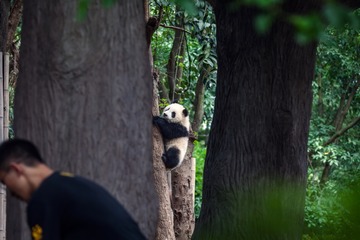 饲养员小哥，我来了