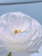 D5F0AFAD-CD28-405D-85C9-C9ED13C63D0A/L0/001