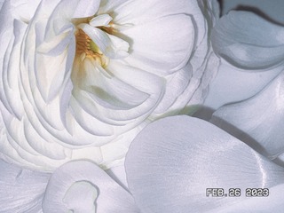 53FAF461-FDB0-468F-B898-6C432944445D/L0/001