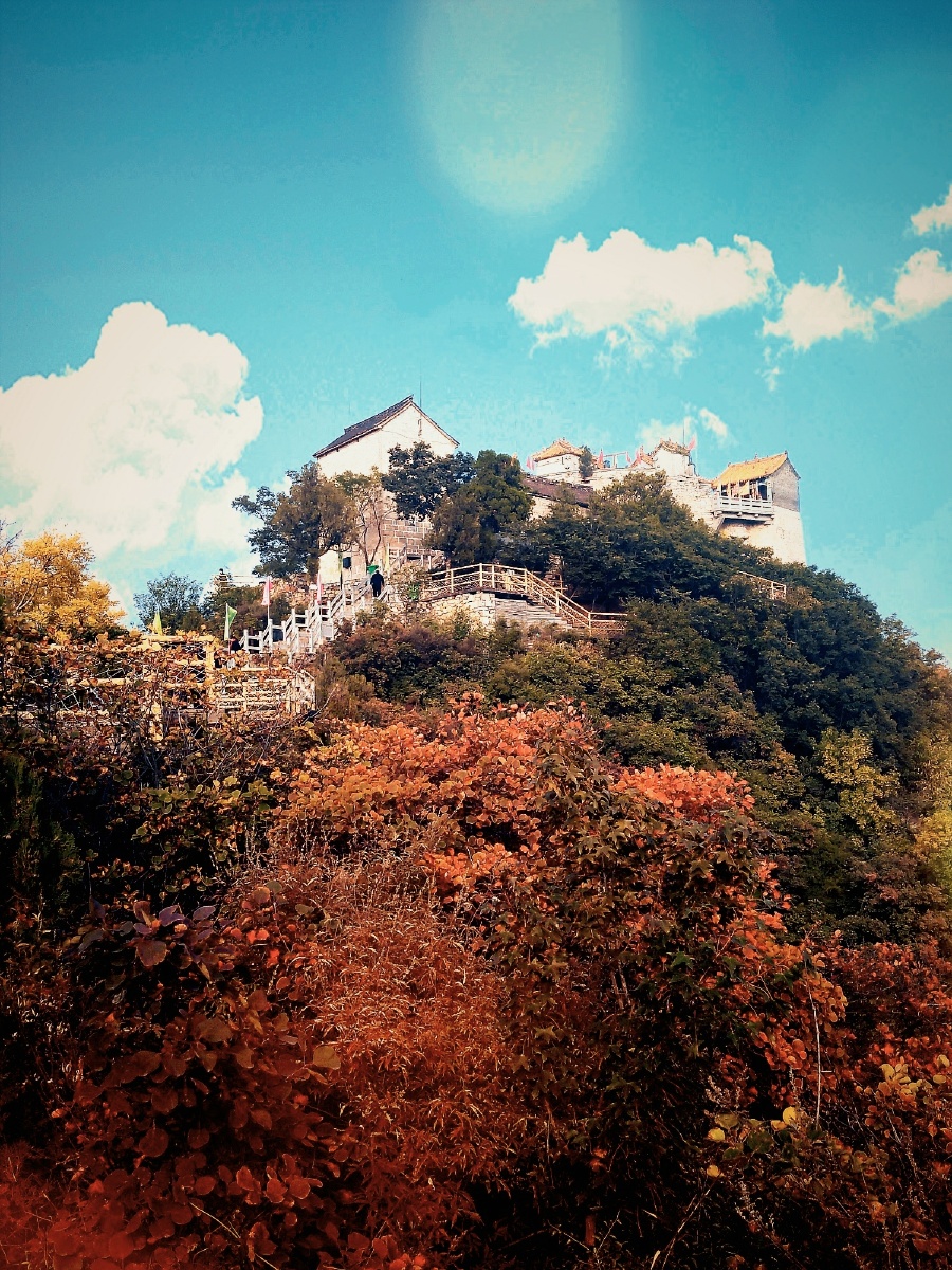 林州柏尖山――红叶