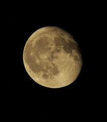 _DSC0658
