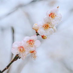 7F1E35B3-1E30-49AD-8A9D-B0714F07DFD7/L0/001