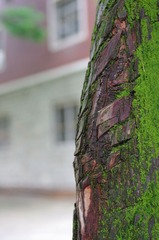 IMGP0035.jpg
