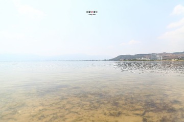 初夏澄江24.jpg