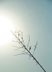 DSC_0133 _副本.jpg