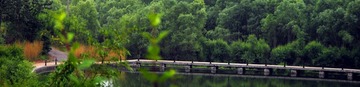 DSC_0137_副本.jpg