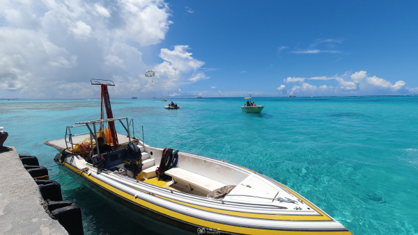 trenchraider的最新作品