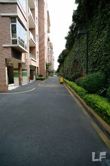 LF-1083.JPG