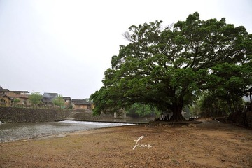 DSC_5948.JPG