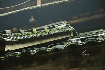 DSC_6021.JPG