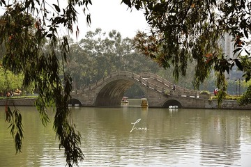 DSC_6091.JPG