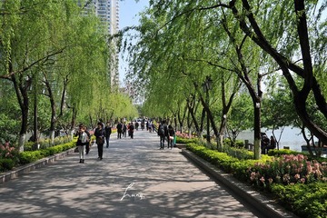 DSC_6103.JPG