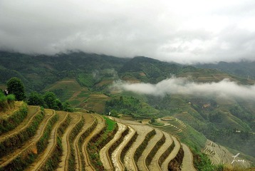 DSC_0065.JPG