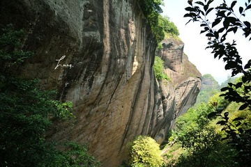 DSC_6246.JPG