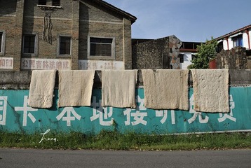DSC_6417.JPG