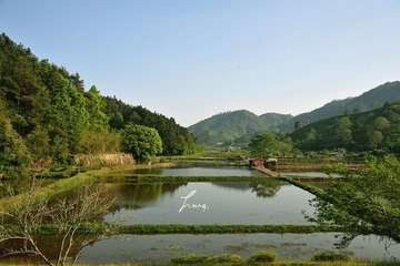 DSC_6434.JPG