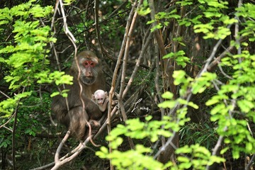 DSC_6520.JPG
