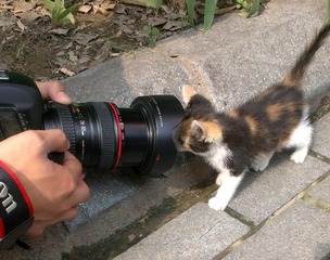 IMAG0508-1.jpg