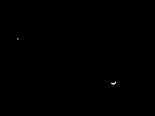 星月。