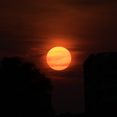 646939