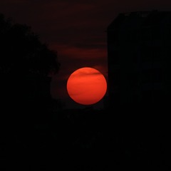 646954