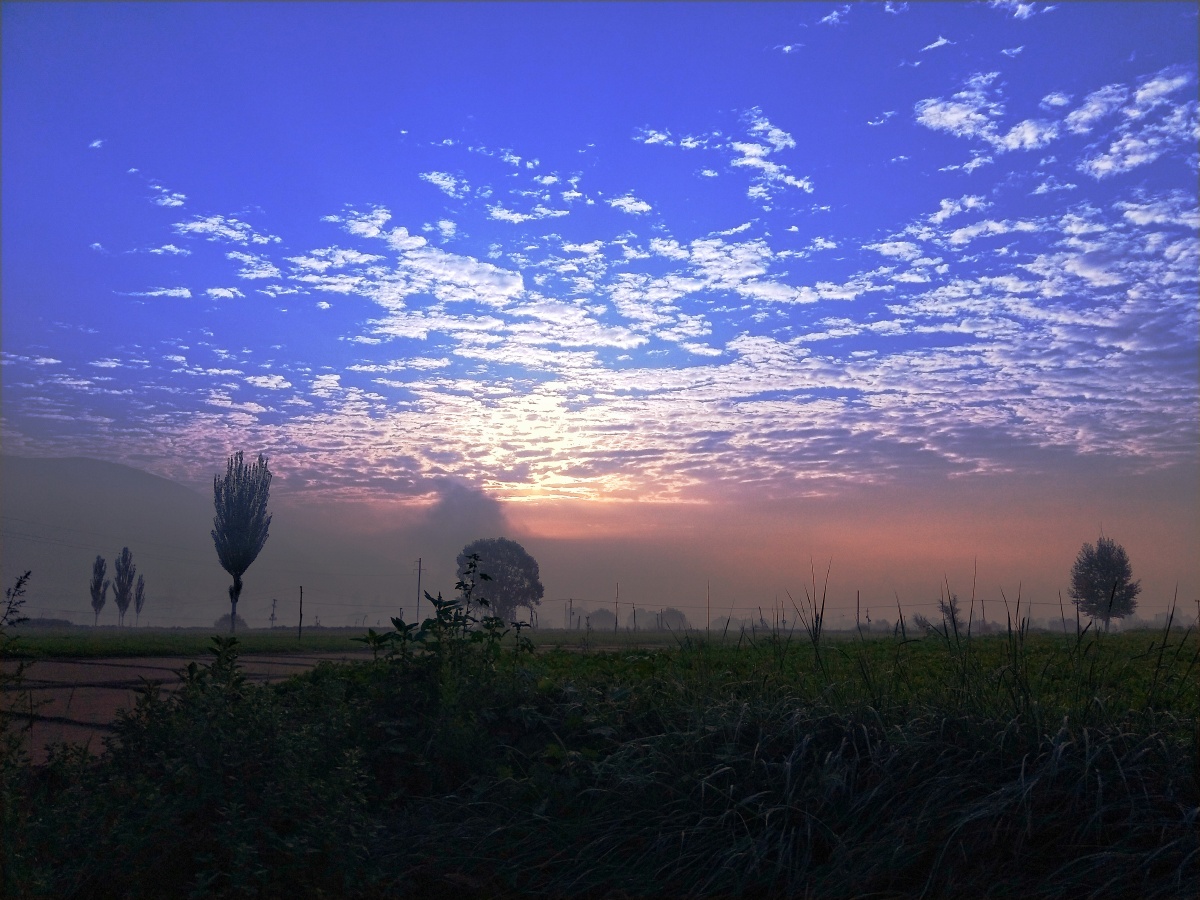 清晨映入眼帘的美丽景致