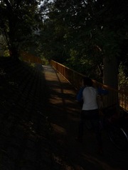 MaShiPo