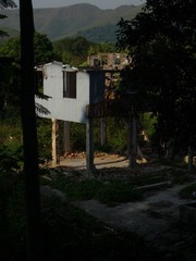 MaShiPo