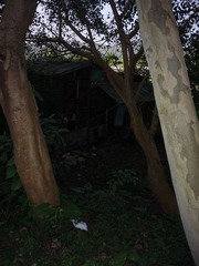 MaShiPo