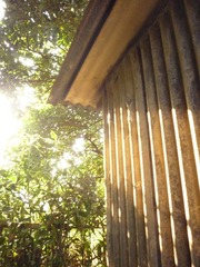 MaShiPo