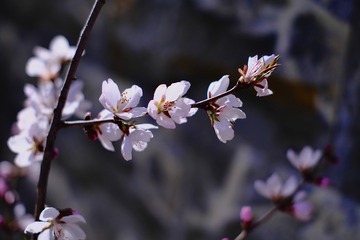 B82089A3-6D2A-4C99-852C-5593D10F1D5D/L0/001