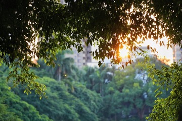 61C70736-78CF-43FB-BE30-3F0544742B26/L0/001