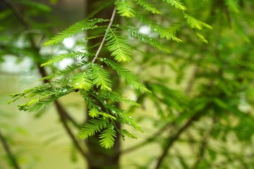 F23F2054-E0C4-4C71-A686-88FF4F7BC62D/L0/001