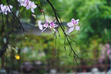 D126EE65-70EA-4ED3-AF3C-F317E9010D45/L0/001
