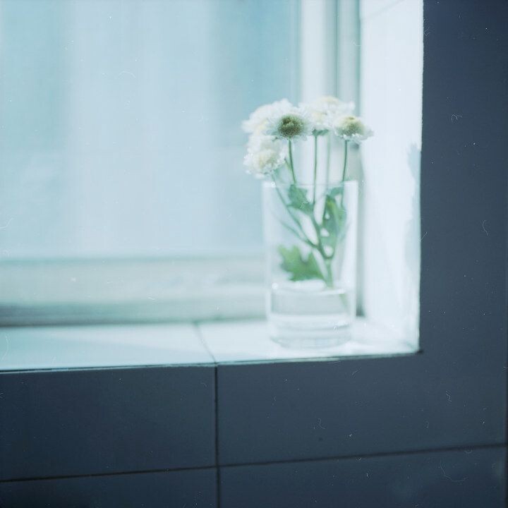 花非花2<br />
