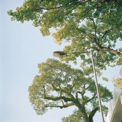 Batch Pict0145.jpg