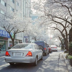 Batch Pict0007.jpg